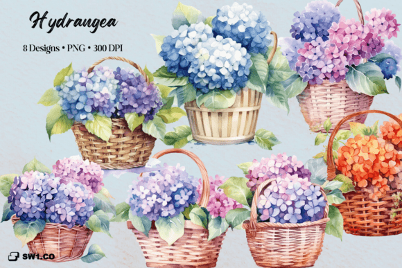 A Designer’s Review of Watercolor Hydrangea Graphics & Illustrations