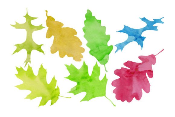 A Natural Touch: Using the Watercolor Maple Leaf Graphic in Client Projects