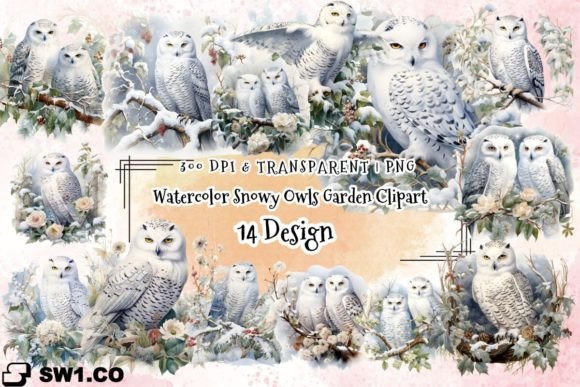 A Watercolor Snowy Owls Garden Clipart Graphics Review