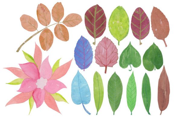 Leaf Set Graphics: A Review for Modern Brand Illustrations