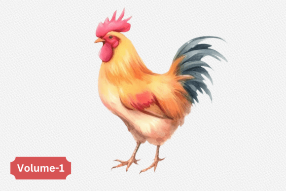 Why This Watercolor Chicken Clipart Elevates Brand Graphics